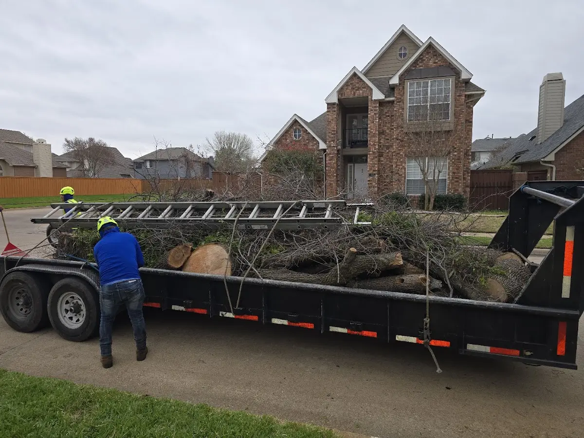 Expert Tree Removal with proper safety equipment in Knoxville